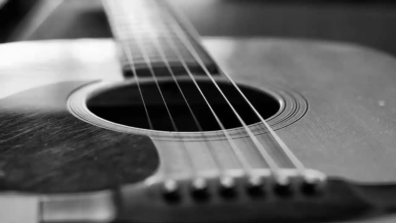 Guitar